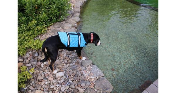 Merco Dog Swimmer plávacia vesta pre psa modrá, veľ. XL