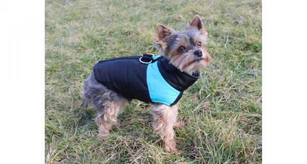 Merco Vest Doggie kabátik pre psov modrá, veľ. 3XL