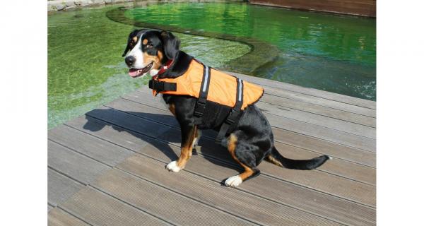 Merco Dog Swimmer plávacia vesta pre psa oranžová, veľ. M