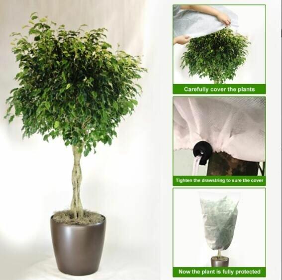 Merco Plant Cover 180x120 ochranný vak na rastliny